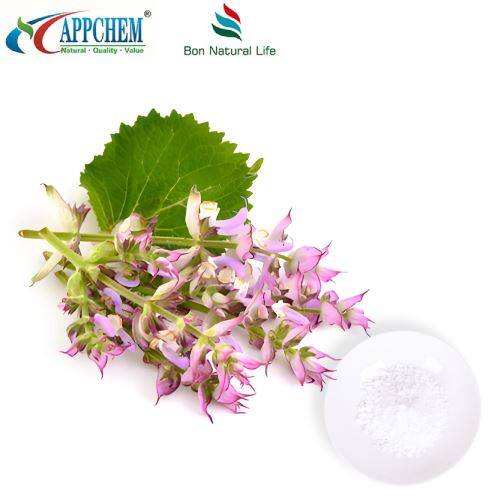 Natural Sclareolide Powder Clary Sage Extract best