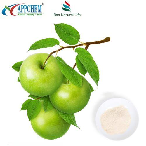 Phloretin Powder factory self-produced