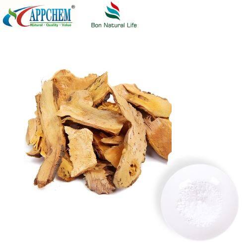 Polygonum Cuspidatum Extract factory