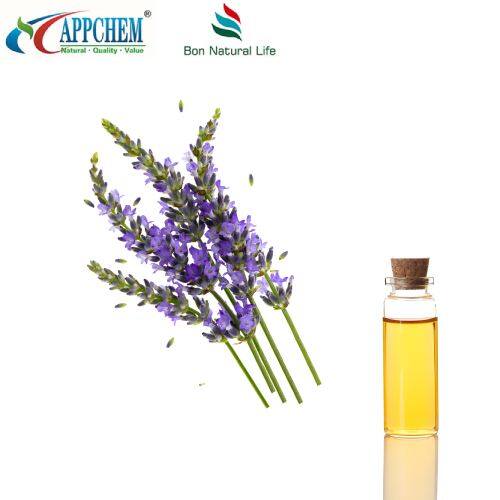 Tinh dầu oải hương nguyên chất