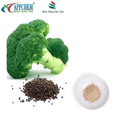 Estratto di semi di broccoli in polvere