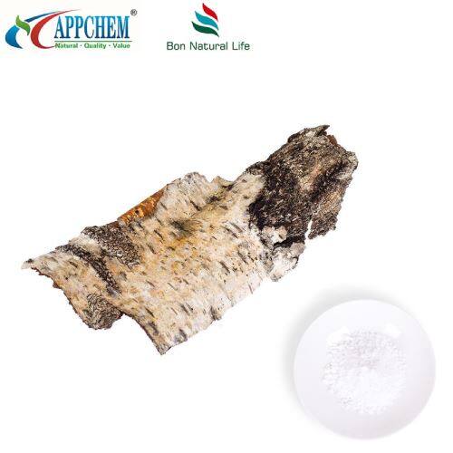 Betulin birch bark powder best-quality