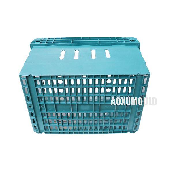 Agricultural Container Mould