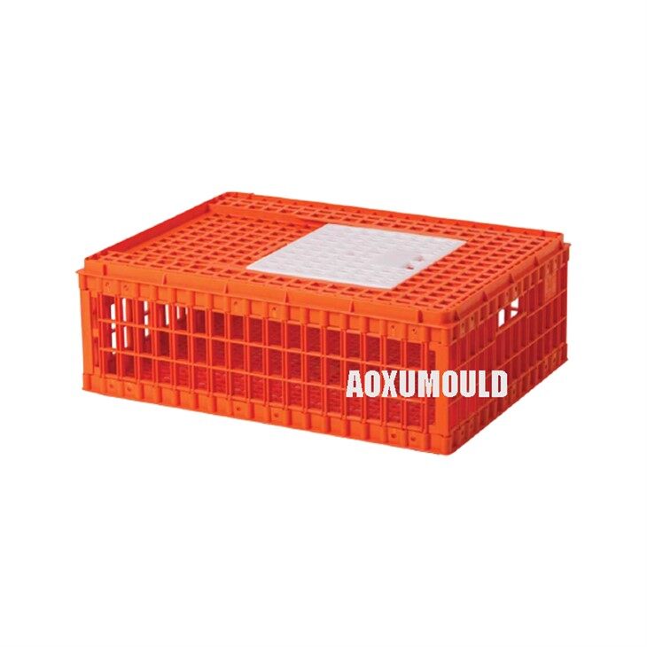 Chicken Crate Mould factory