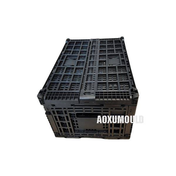 Collapsible Crate Mould