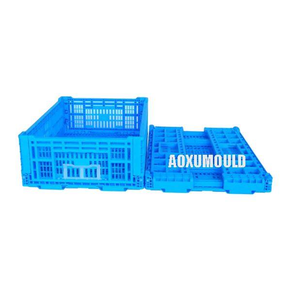 Collapsible Crate Mould