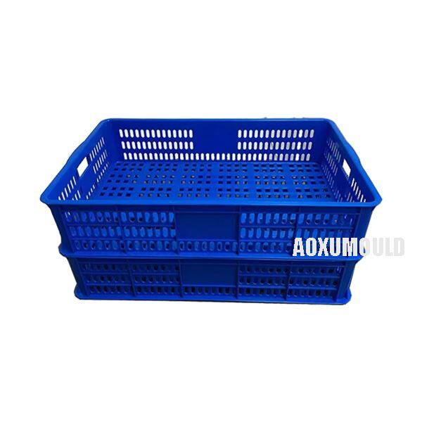 Fish Tray Mould