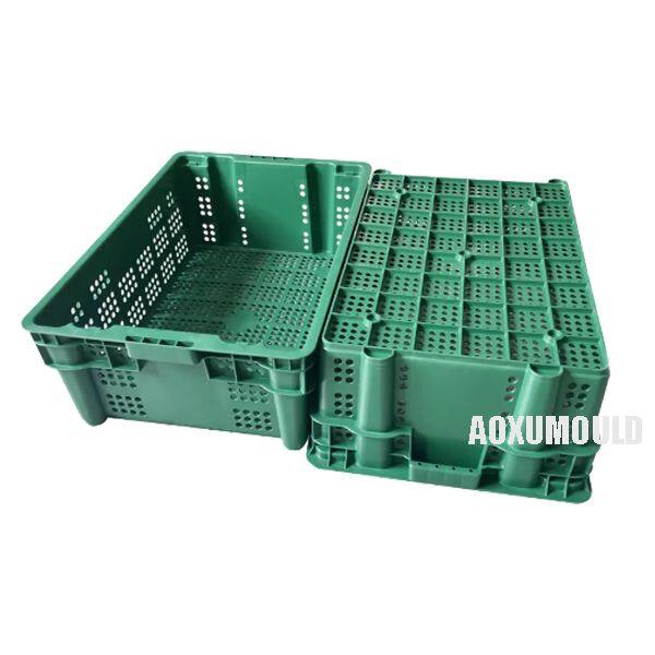 Fish Tray Mould