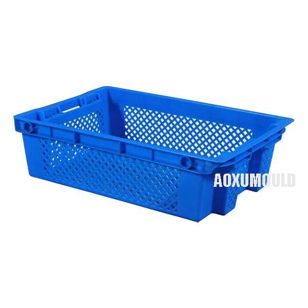 Fish Tray Mould