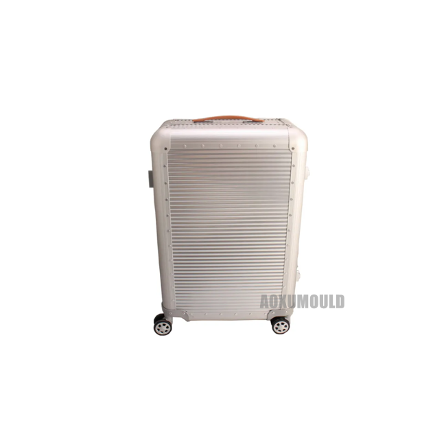 Luggage Case Mould