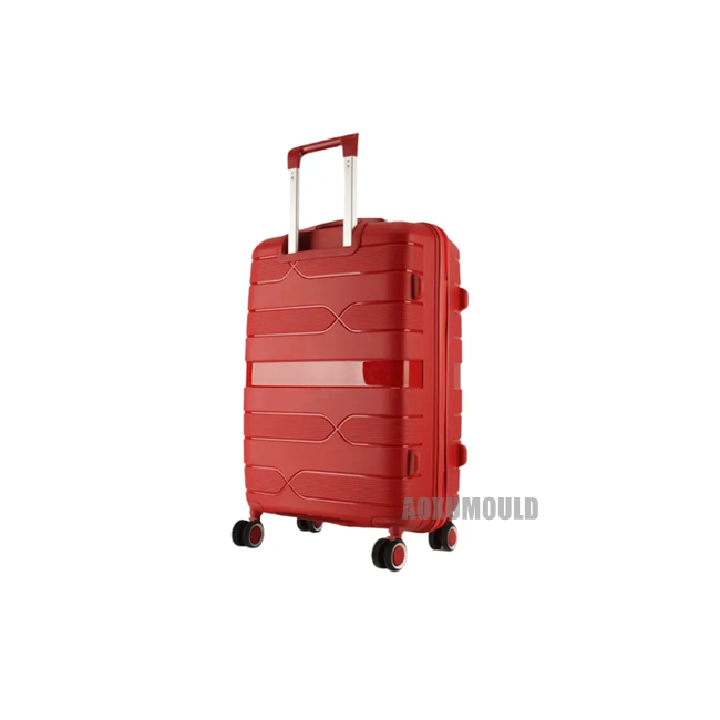 Luggage Case Mould