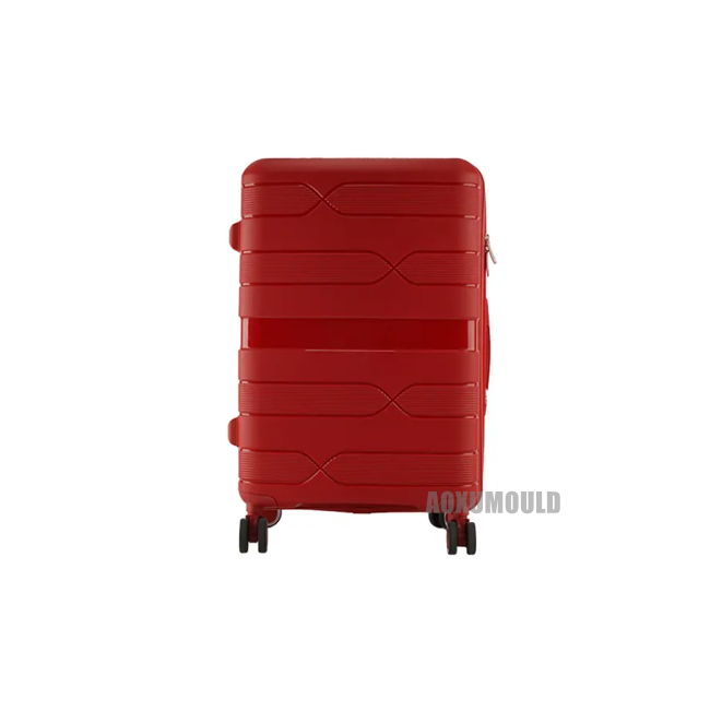 Luggage Case Mould