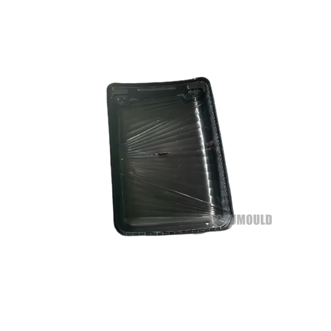 Luggage Case Mould