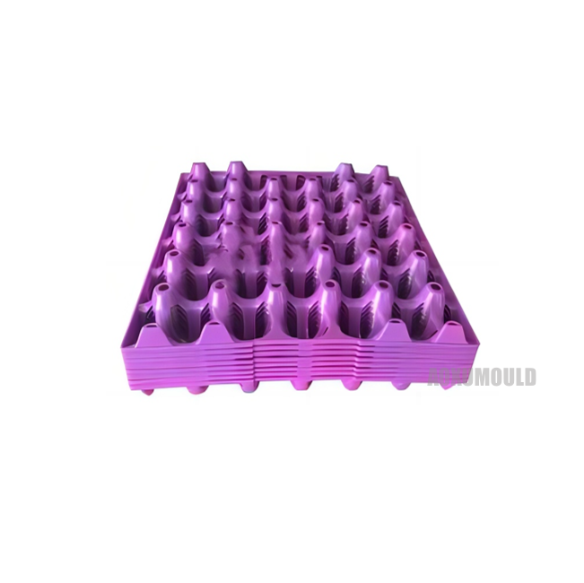 Plastic Egg Tray Mould