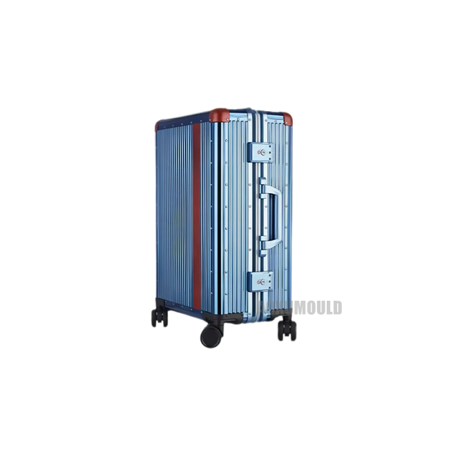 Trolley Case Mould