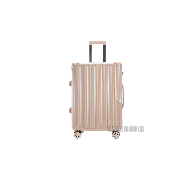 Trolley Case Mould