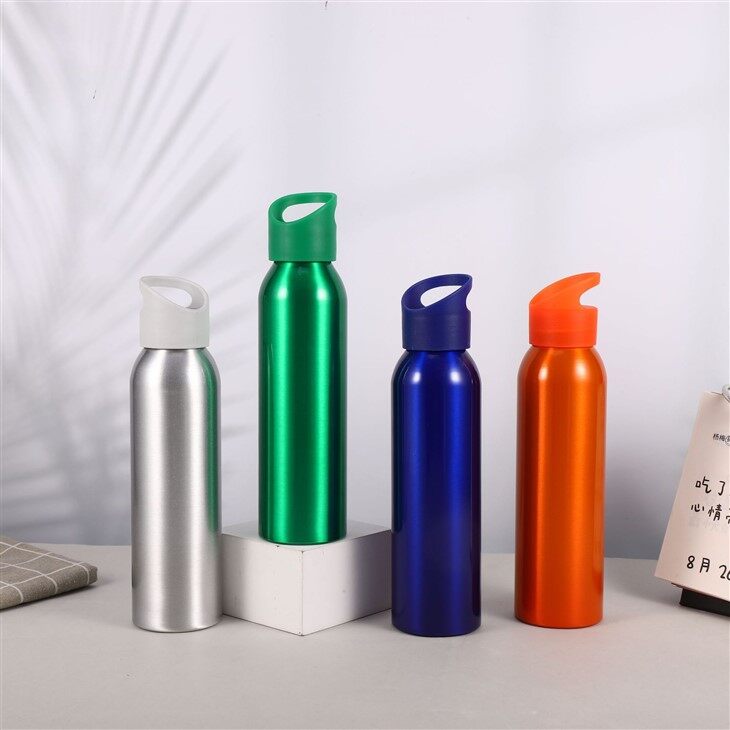 Reusable Leak Proof Water Bottle