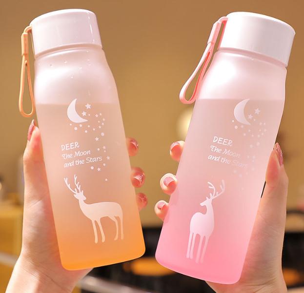 Plastic Leak-Proof Water Bottles