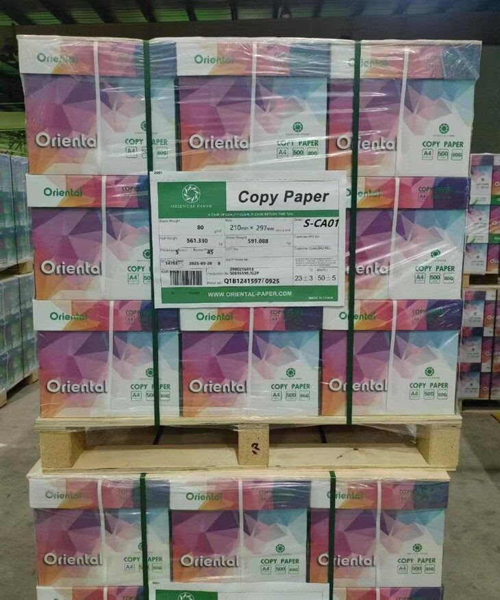 Multipurpose Copy Paper factory