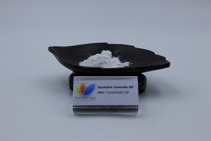 SanActive Ceramide NP 2