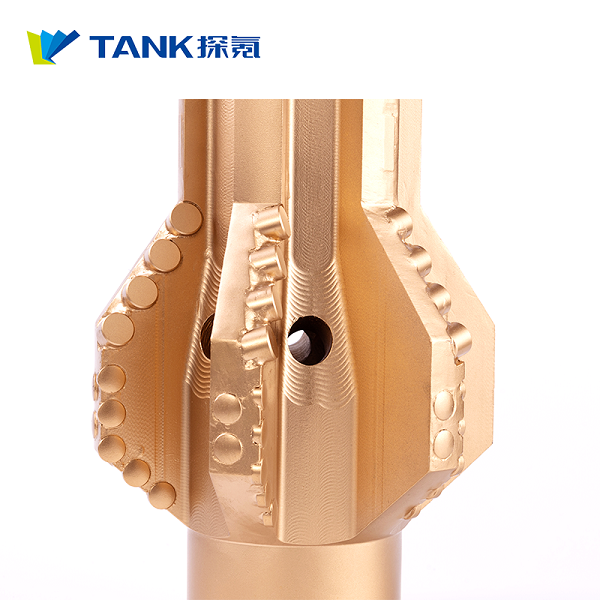 oil and natural gas Directional Bit