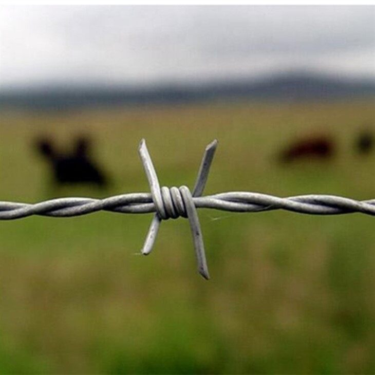 Fine Quality Barbed Wire factory