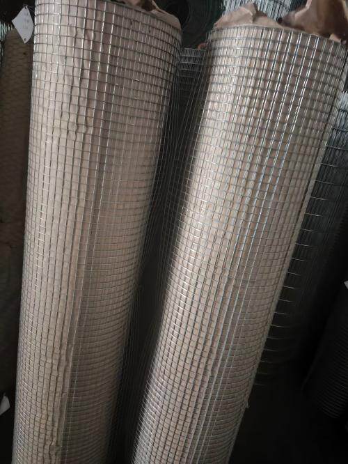Welded Wire Mesh factory