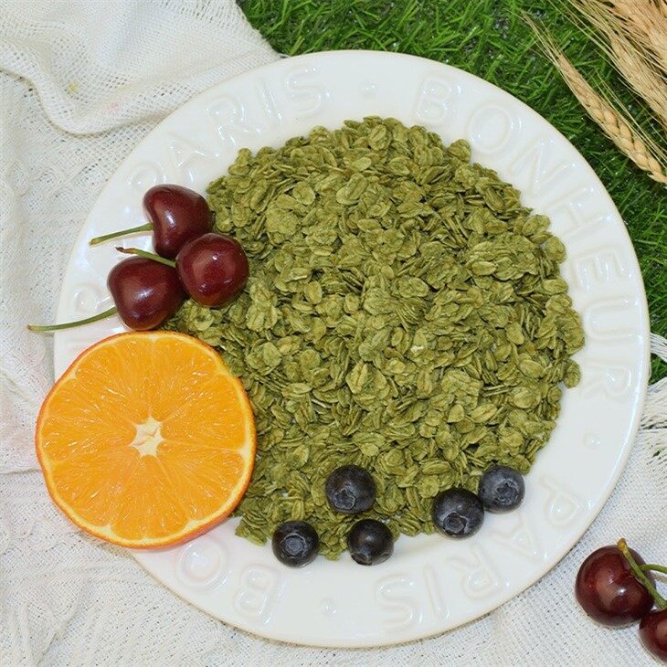 Matcha Baked instant oatmeal in a bowl