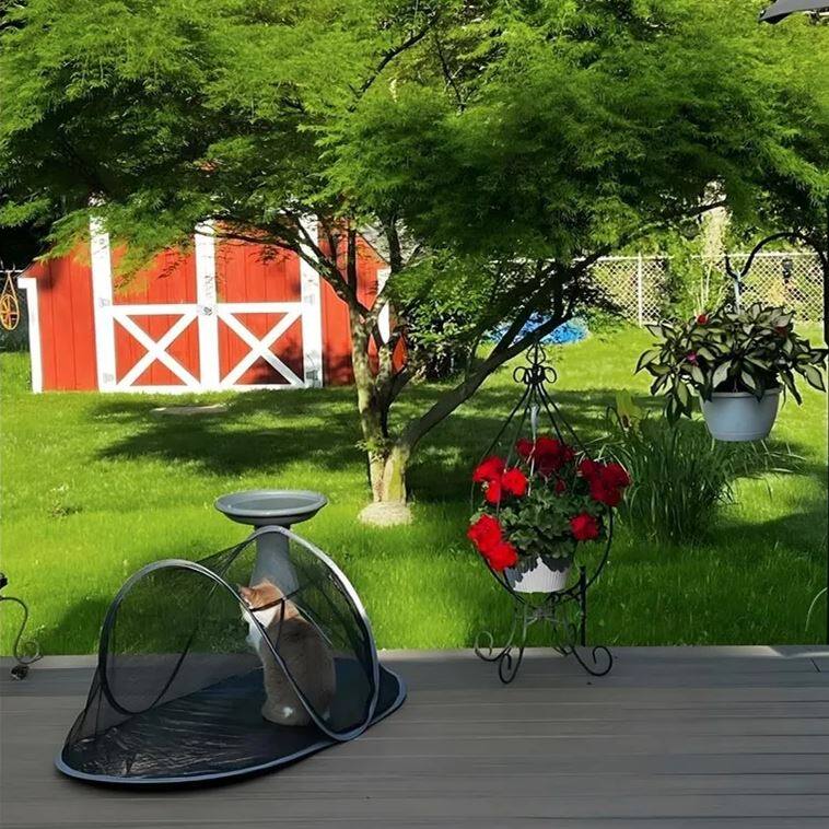 Pop-up Pet Tent in Net Bag Style best