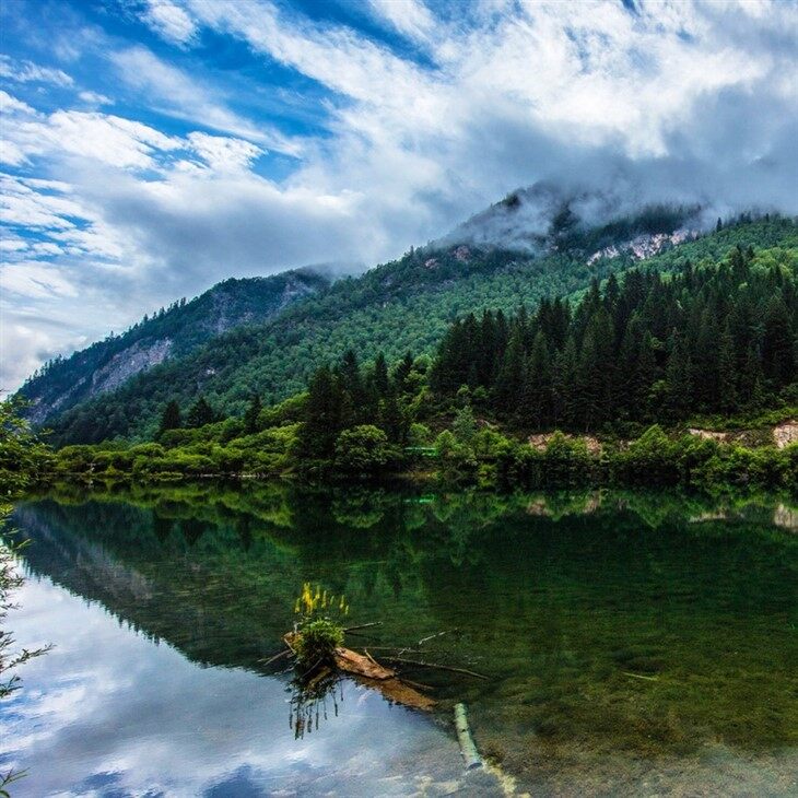 成都九寨動車五日遊 suppliers