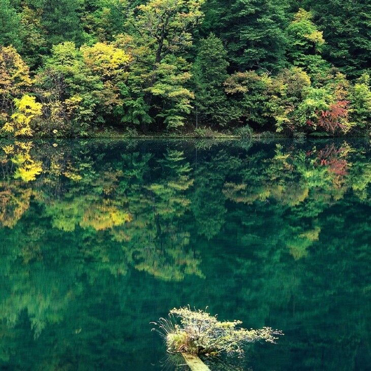 Monument to the people's Liberation Chongqing
