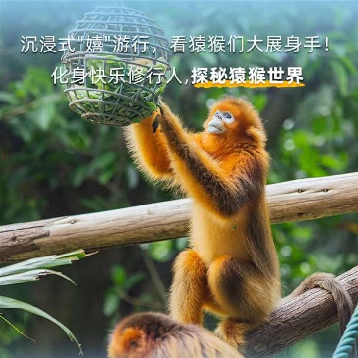 Guangzhou Chimelong Resort for sightseeing