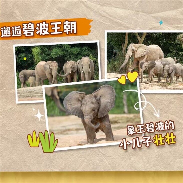 Qingyuan Scenic Spots