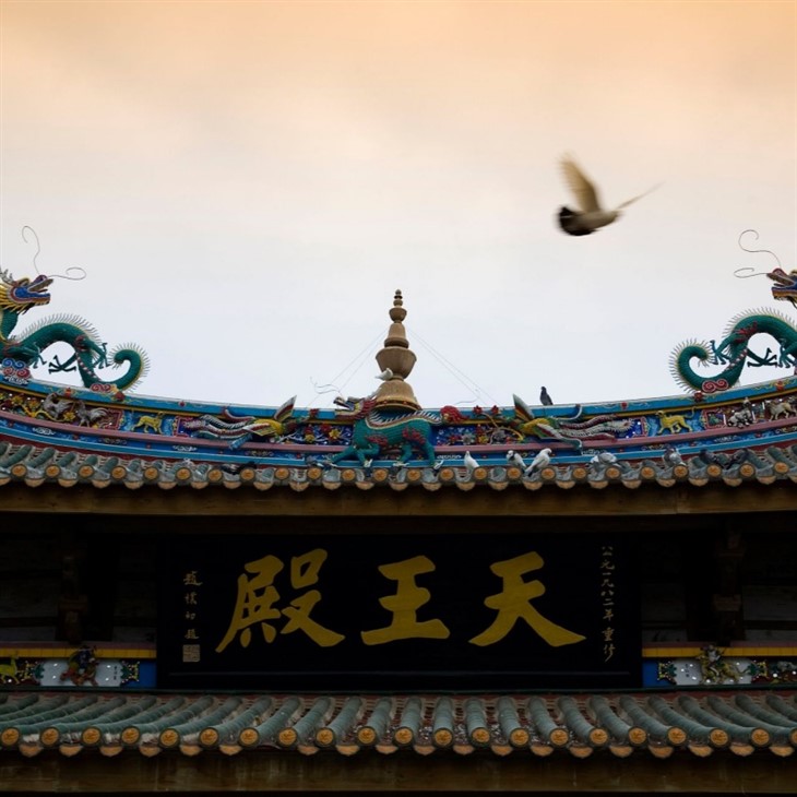 廈門鼓浪嶼旅遊 best