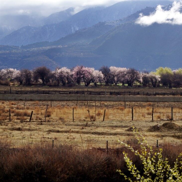 The Eighteen Bends of the Heavenly Road