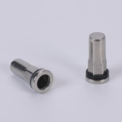 Rivet Nut With Sealing Ring suppliers