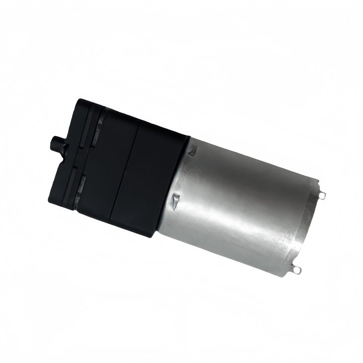 Custom 370 DC air pump