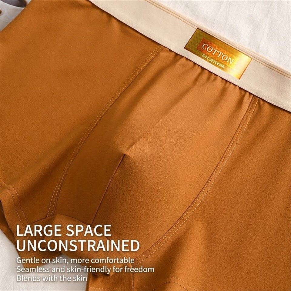 Mens Plus Size Boxer Briefs manufacturers