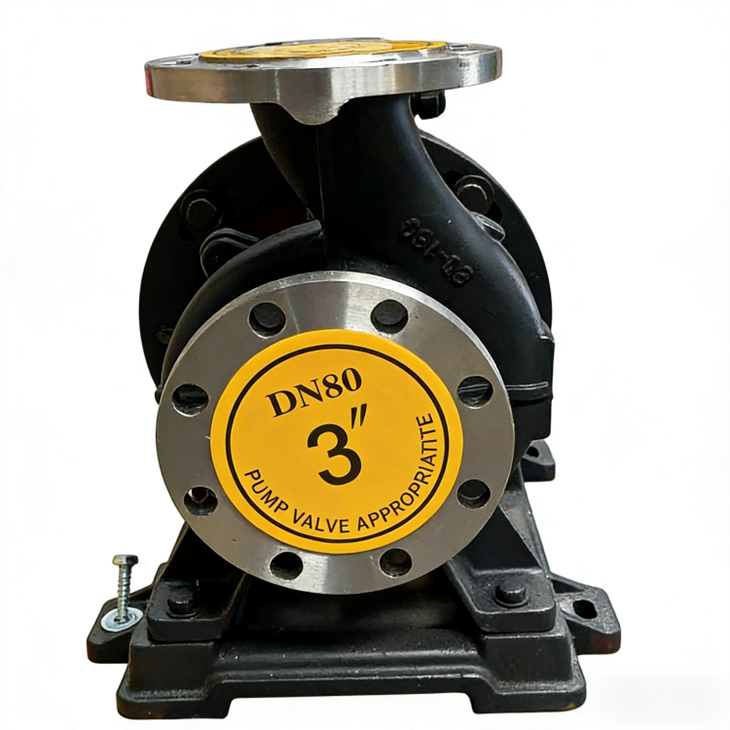 Stainless Steel horizontal feed pump