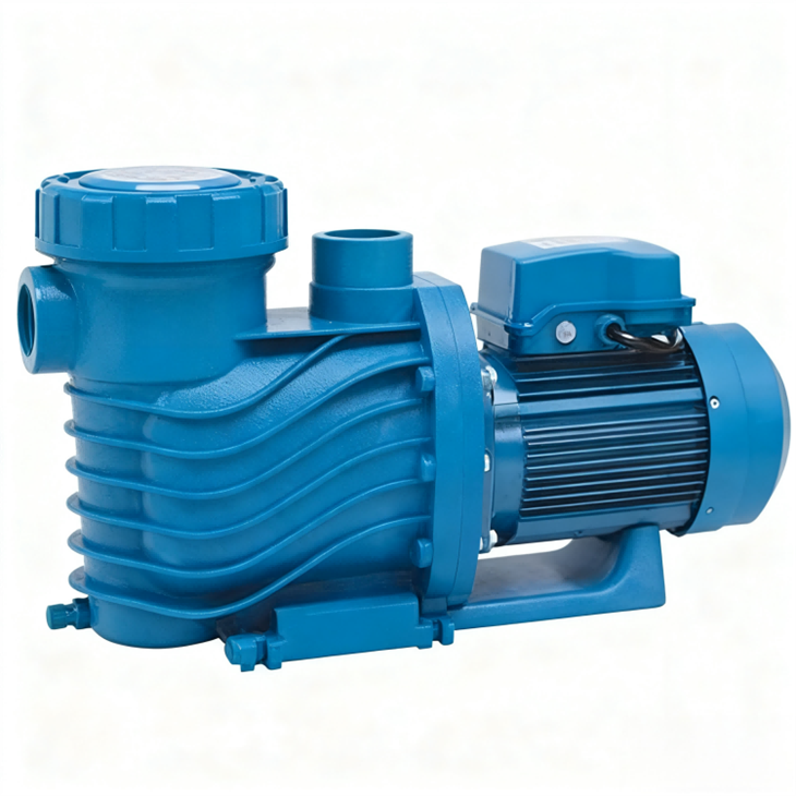 energy efficient pool pump