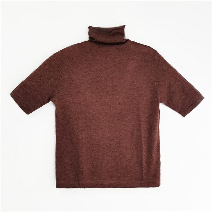 Classiques Thin Turtleneck Short Sleeve Wool Sweater