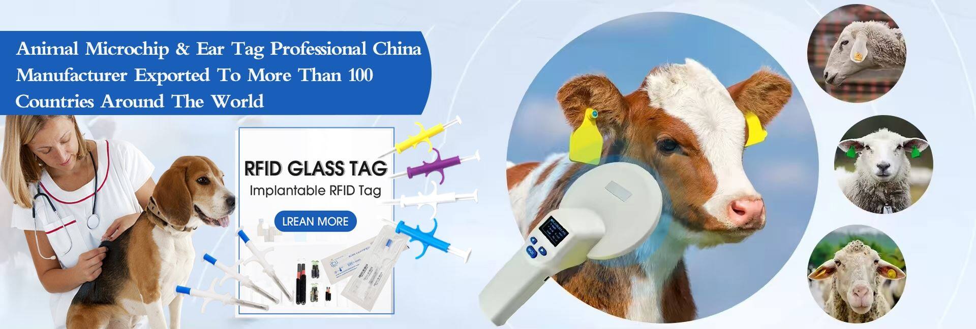 कुकी धोरण