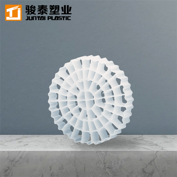 MBBR for Aquaculture System factory