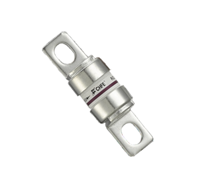 Auto Bolted 100A Fuse