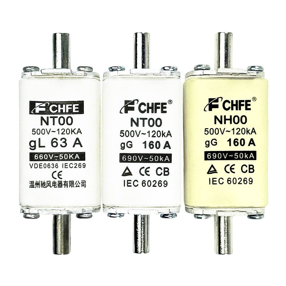 NT00 NH00 Square Fuse 160A Ceramic Copper