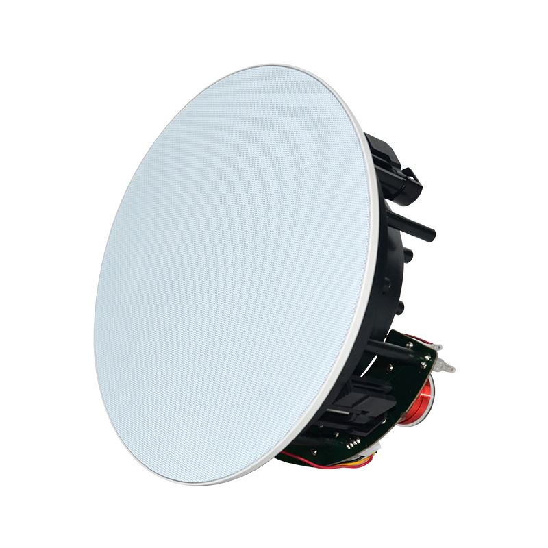 6.5-inch black sloping ceiling speaker