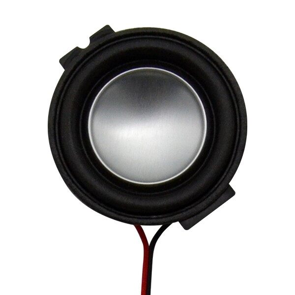 Small Full Range Speakers