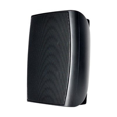 4-inch black Dragon boat speaker