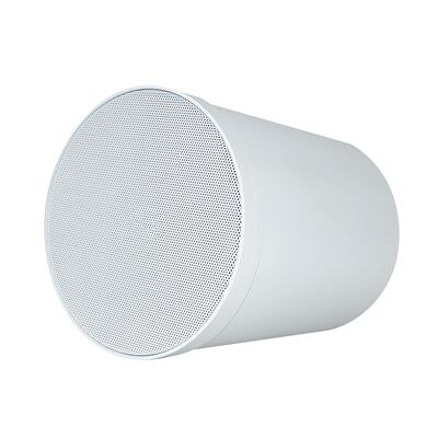 6.5 Inch Pendant Ceiling Speaker Hanging