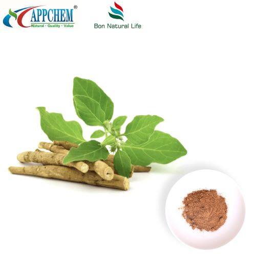 Ashwagandha-Extraktpulver (Withanolide) Herstellung 30655-48-2